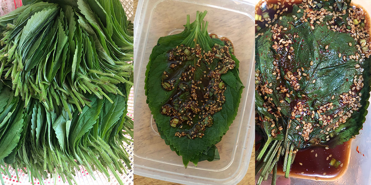 perilla-leaves-korean-ingredients-institute-of-culinary-education